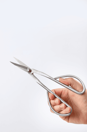 Pruning Shears PH326