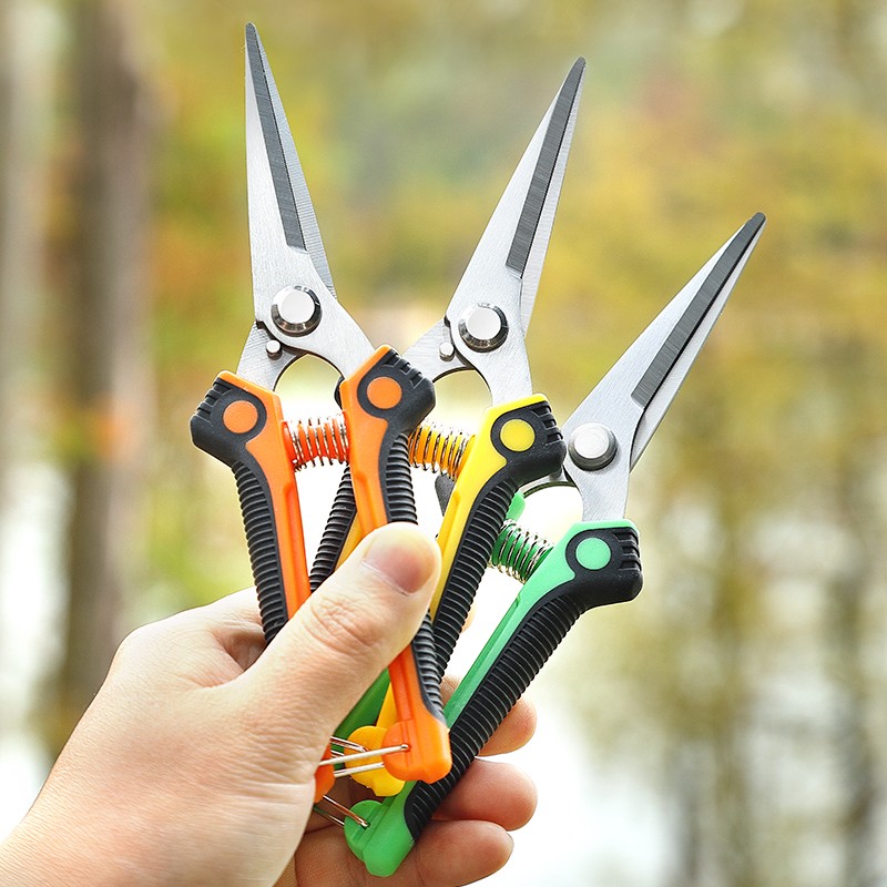 8 Inch Pruning & Harvesting Scissors | ODM / OEM Garden Tools 8 Inch Pruning & Harvesting Scissors | ODM / OEM Garden Tools